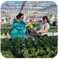 <p>Werking Zorghoeve Sint-Jansberg</p>